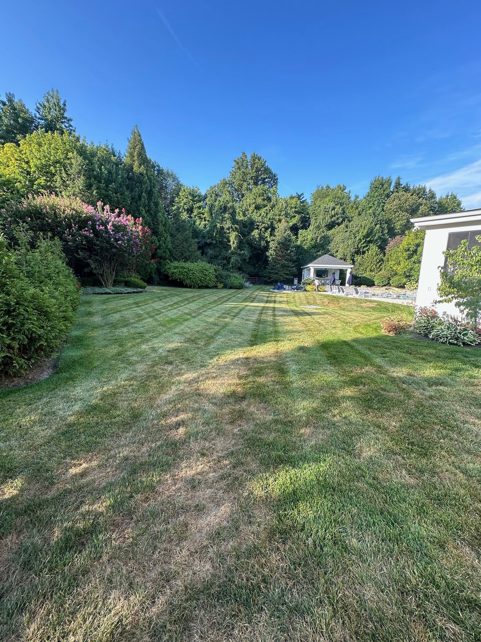 A large lush green yard with a house in the background.