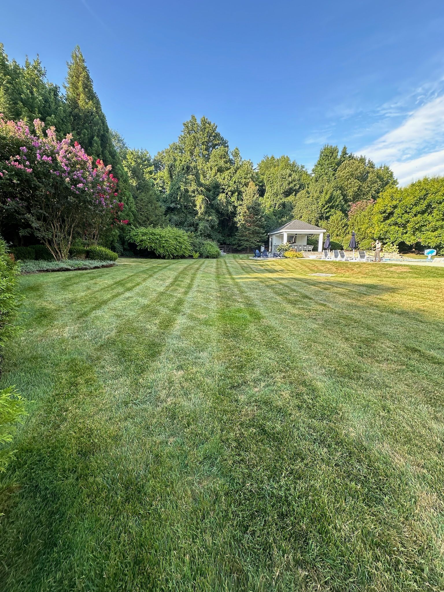 A large lush green lawn with a gazebo in the background.