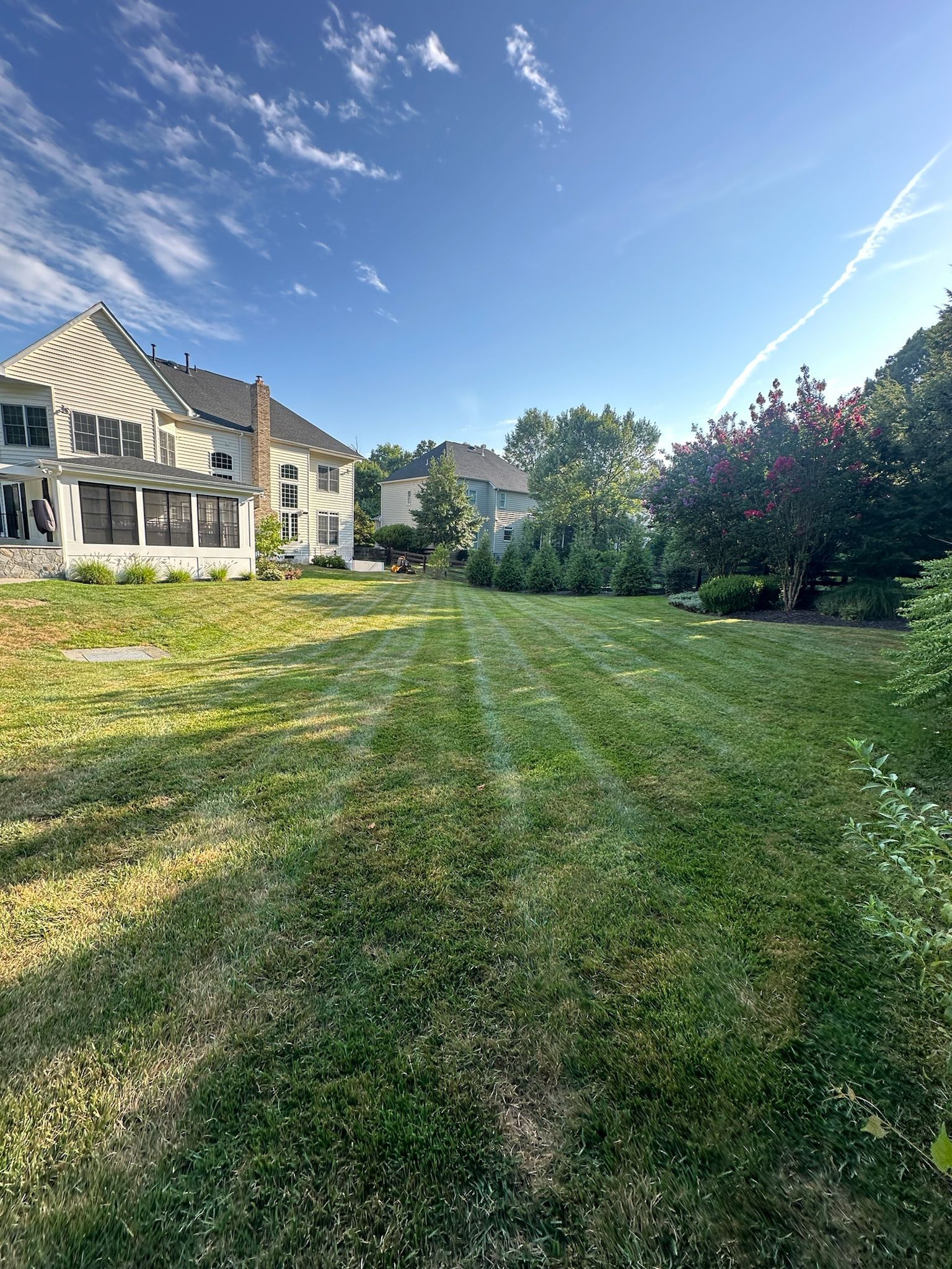 A large lush green lawn in front of a house on a sunny day.