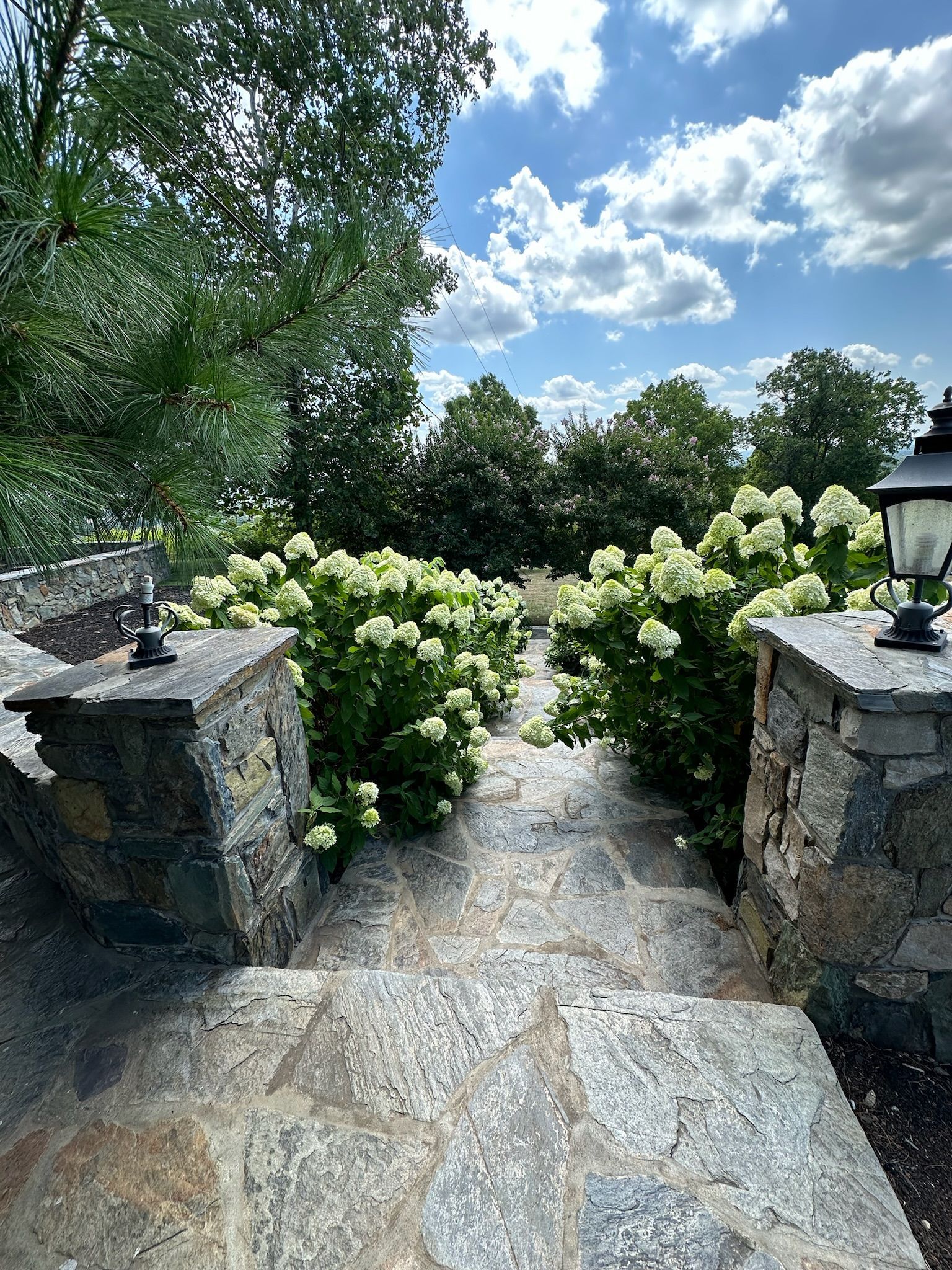 A stone walkway leading to a garden with lots of flowers and trees.