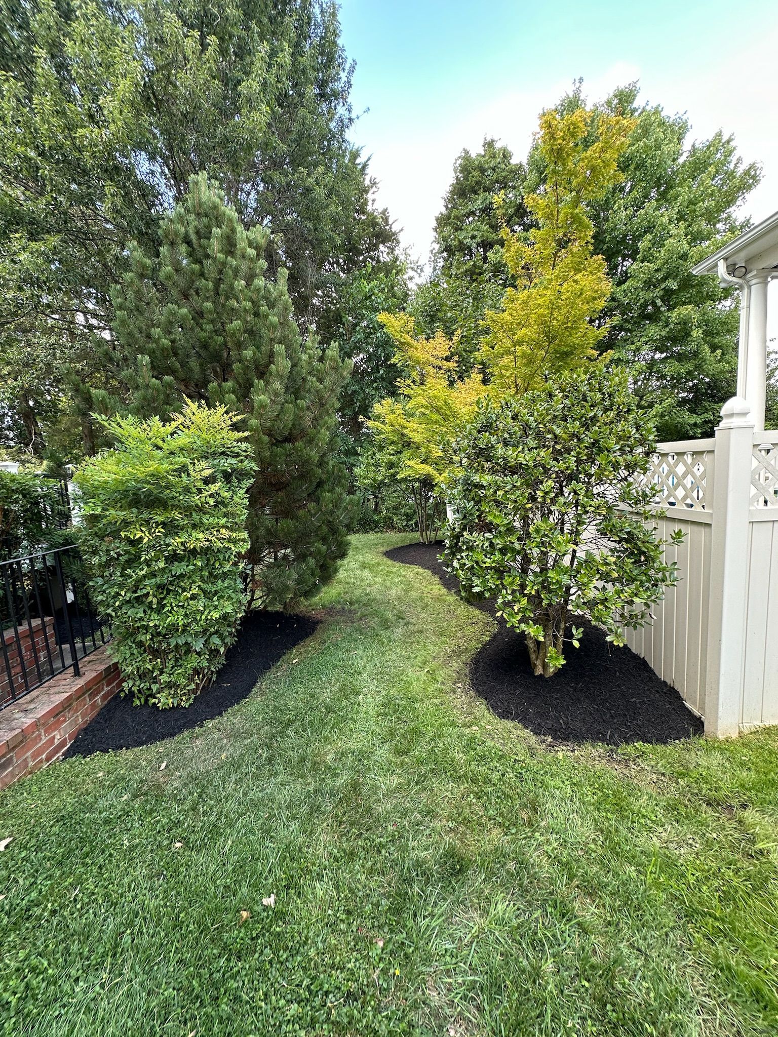 A lush green lawn surrounded by trees and bushes.