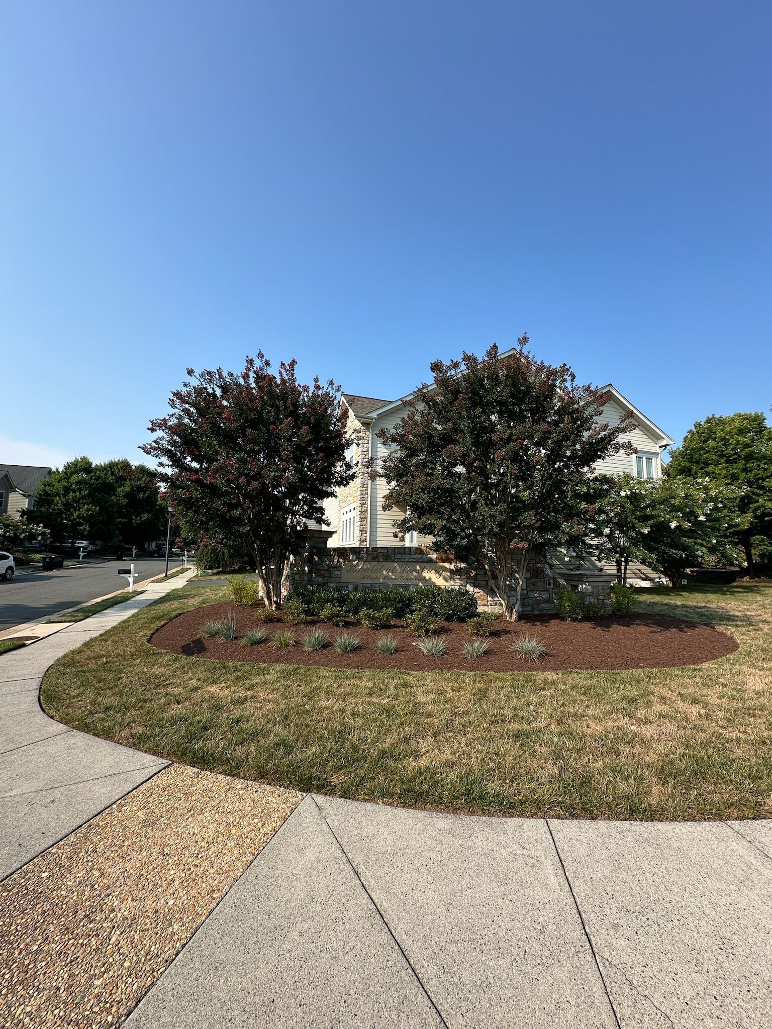 There are two trees in the middle of the lawn in front of a house.