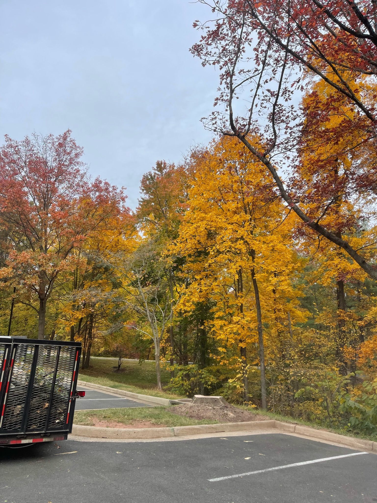 A truck is driving down a road with trees in the background