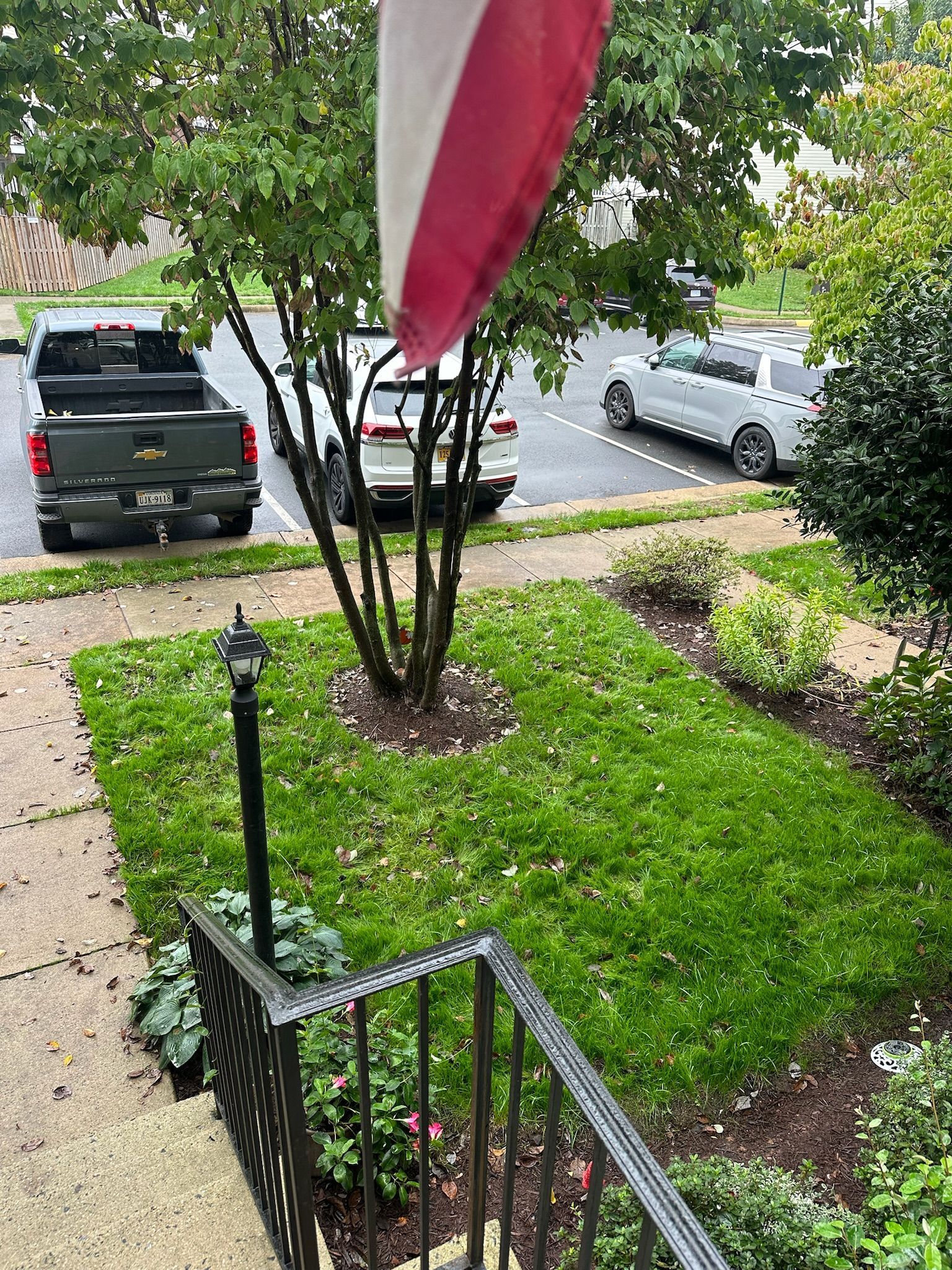 A red and white flag is hanging from a tree in front of a house.