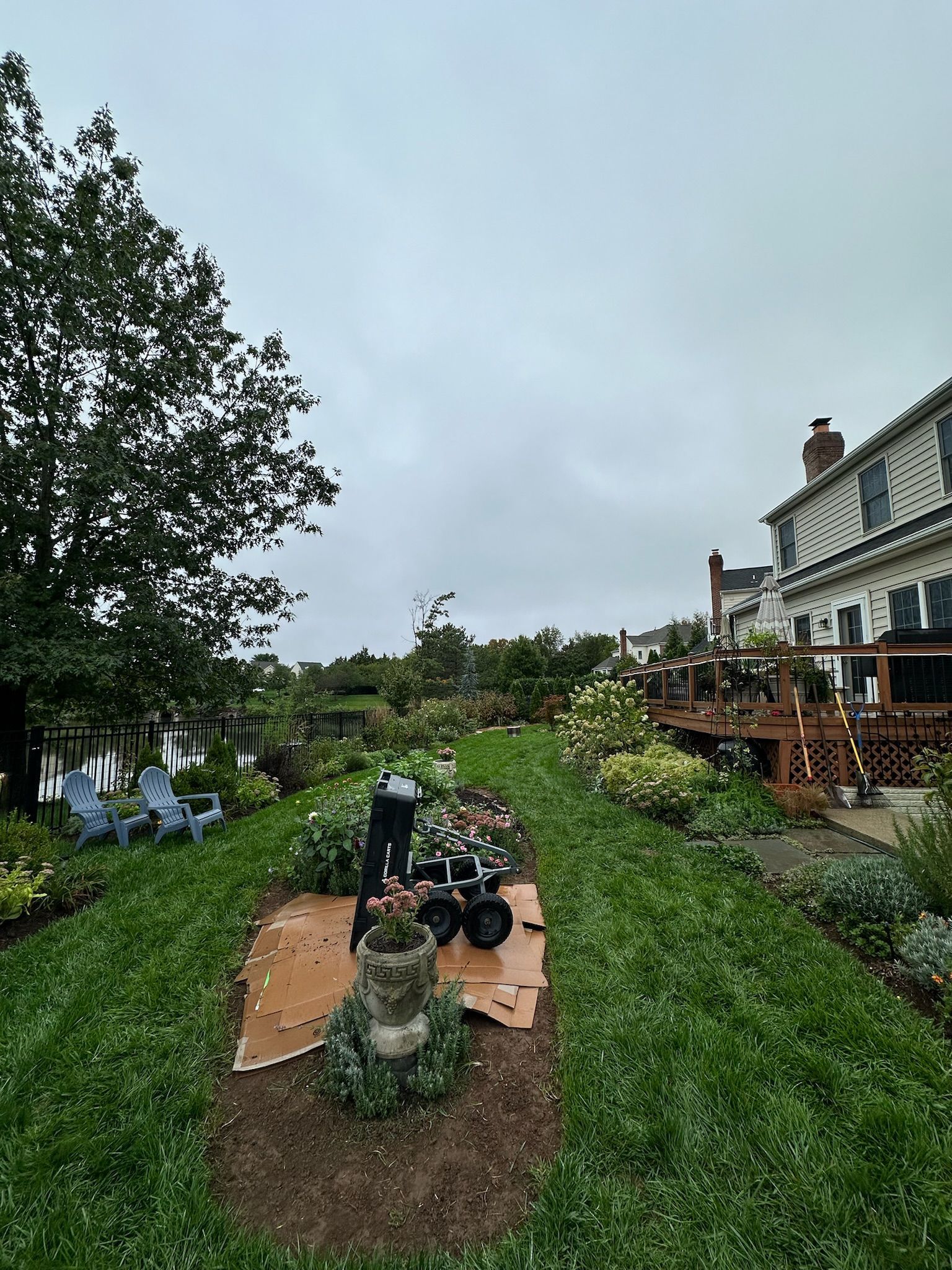 A lawn with a tractor in the middle of it and a house in the background.