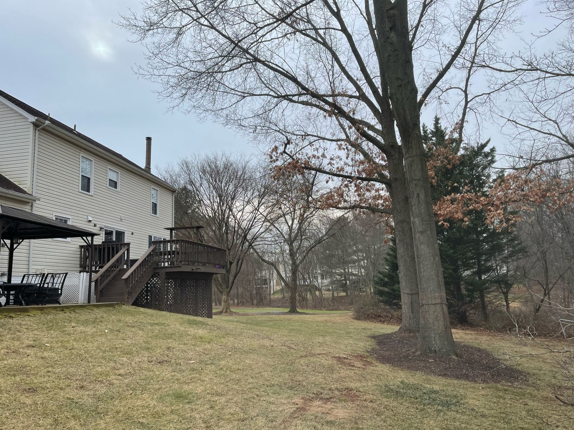The backyard of a house with a deck and trees.