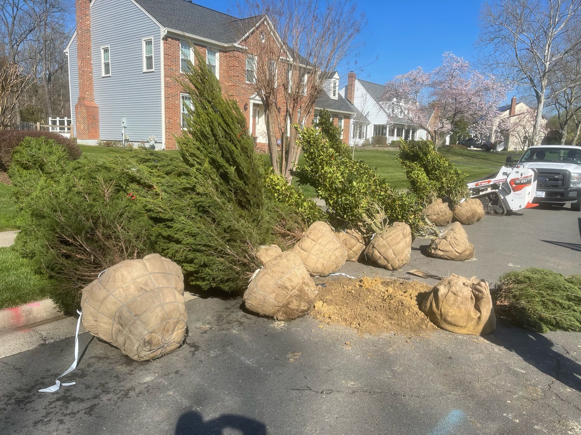 A bunch of trees are sitting on the side of the road in front of a house.
