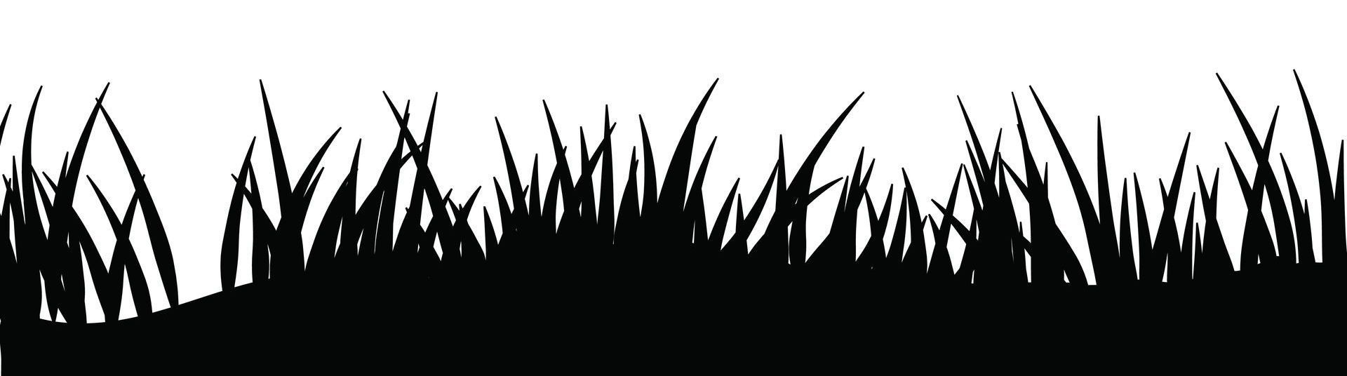 A black and white drawing of tall grass on a white background.