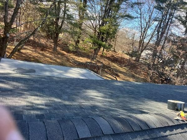 Dark shingle roof with trees and a light gray section. Sunny outdoor setting.