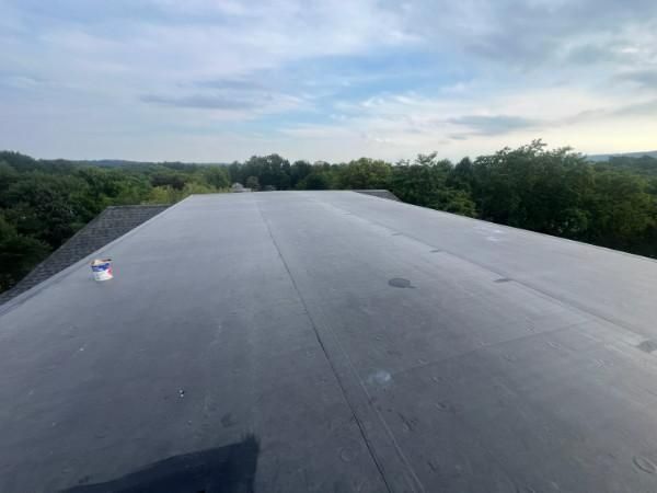 Flat, dark roof with vents, overlooking a forest under a cloudy sky.