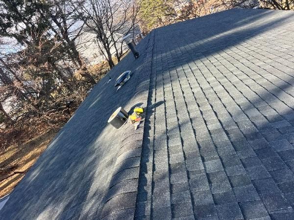 Dark shingle roof with vents and tools at the ridge, trees in the background.
