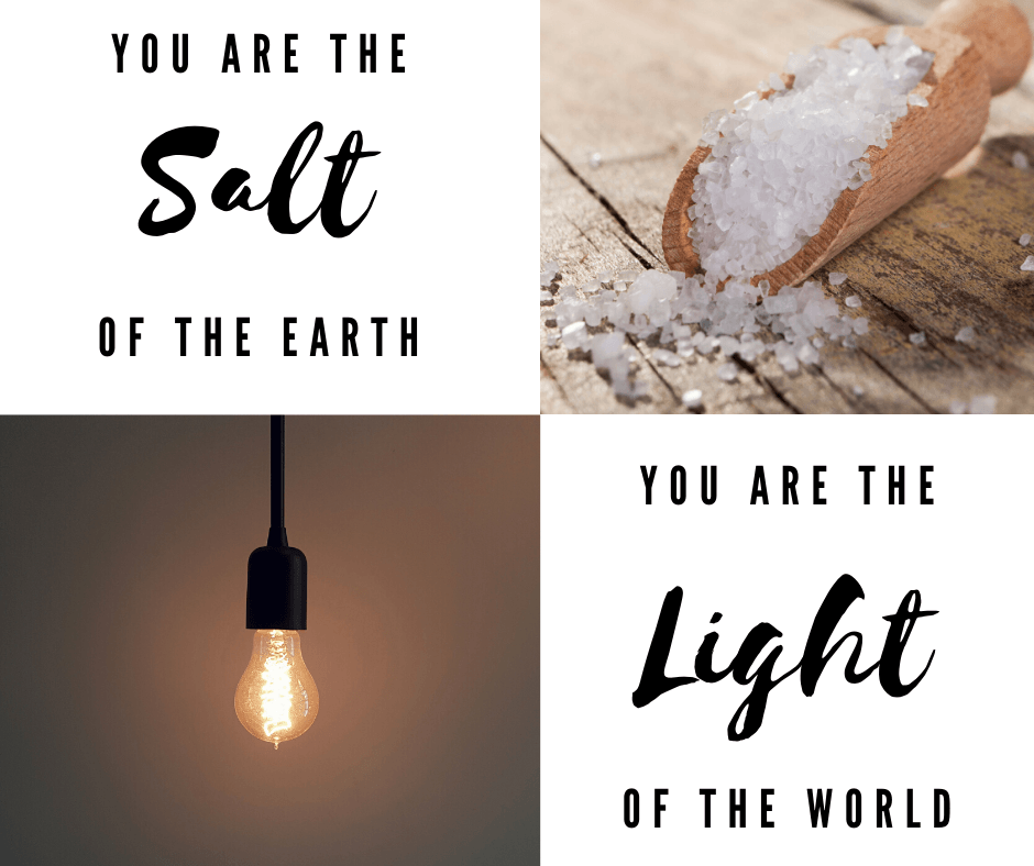 Salt & Light