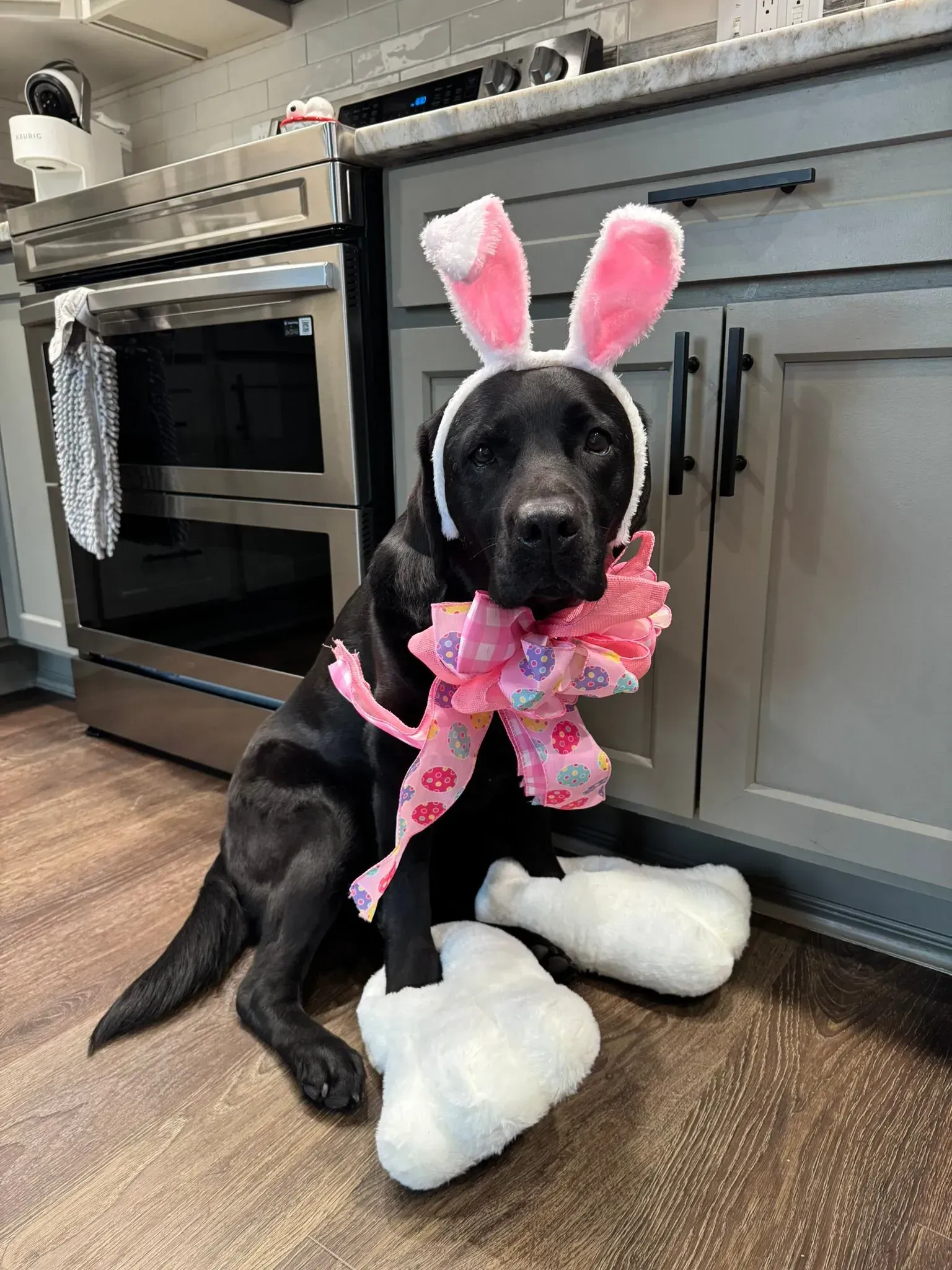 Black dog in pink bunny ears and bow sitting on a kitchen floor with stuffed feet coverings