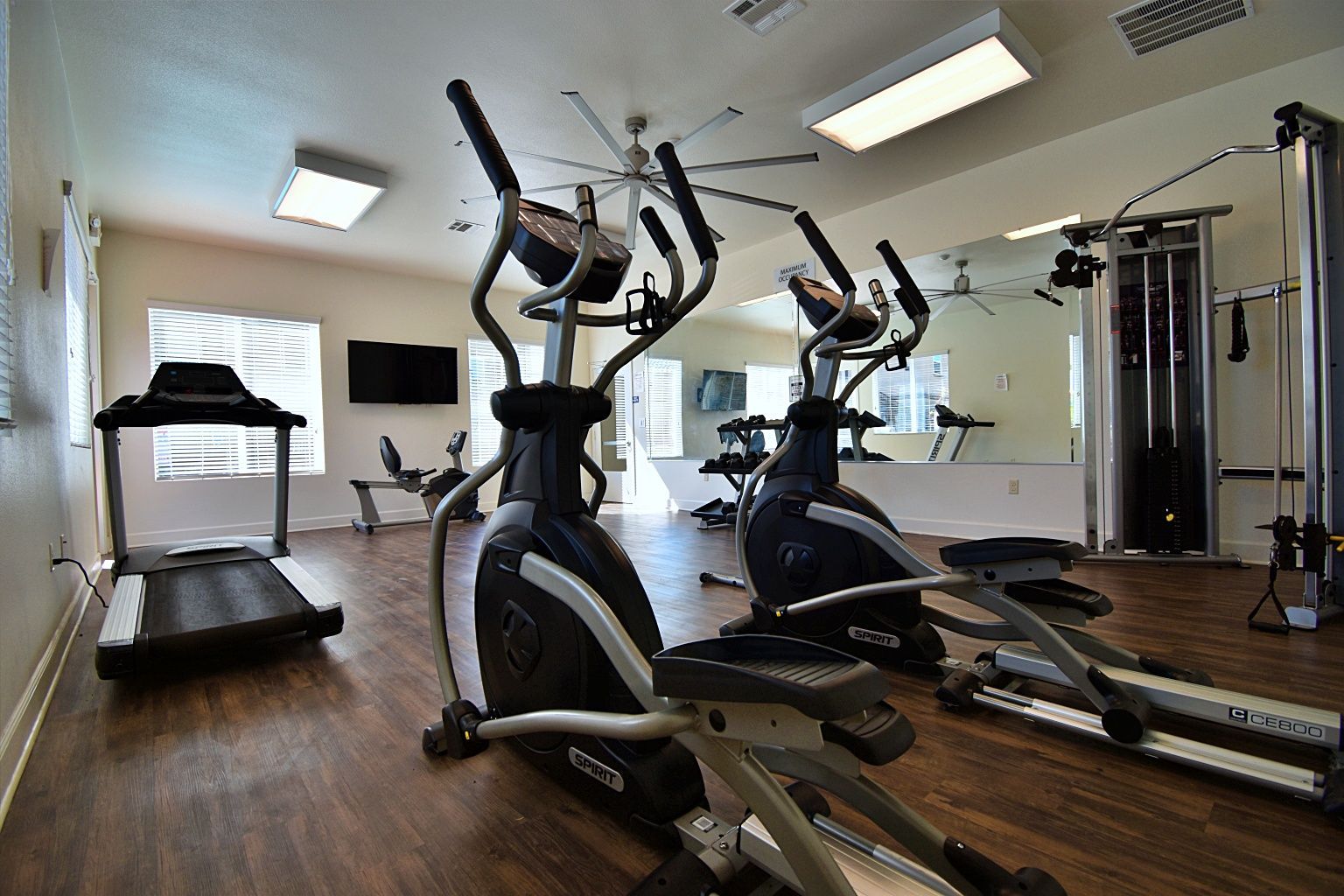 A gym with ellipticals , treadmills , and a large mirror.
