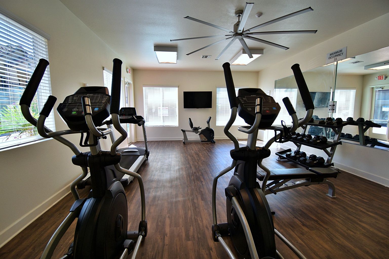 a gym with treadmills , ellipticals , and a ceiling fan .