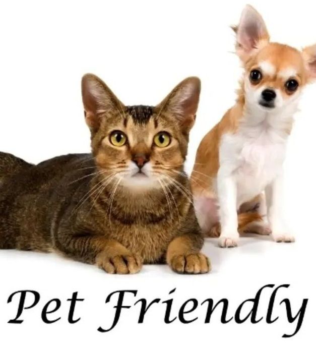 Pet friendly
