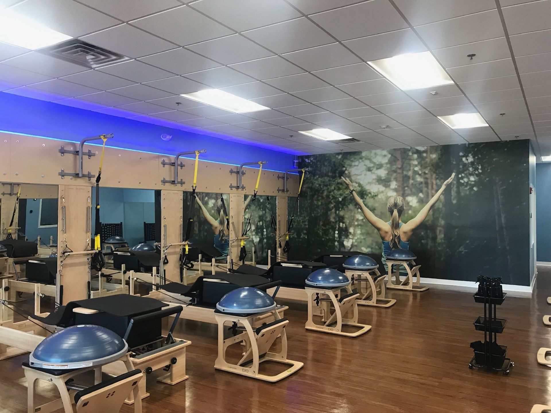 A gym filled with lots of exercise equipment and a mural on the wall.