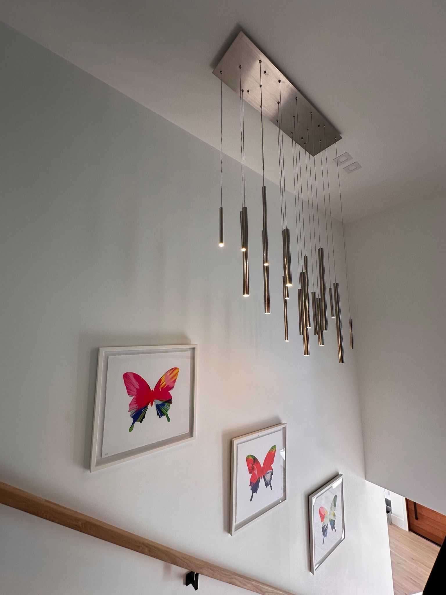 A staircase with pictures of butterflies on the wall