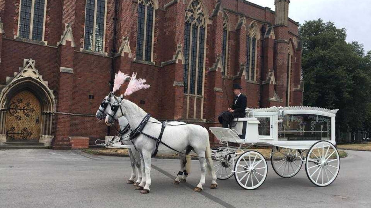 Horse and Carriage Hearse