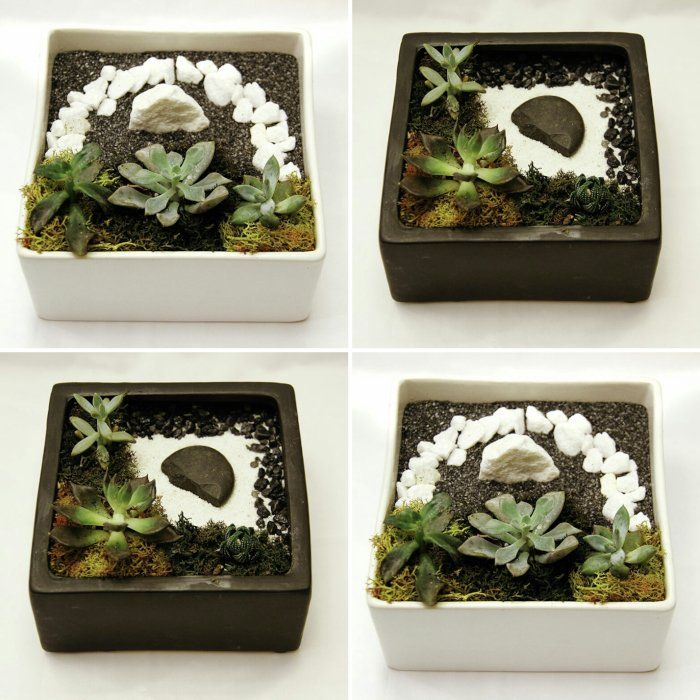 four square pots with succulents and rocks in them