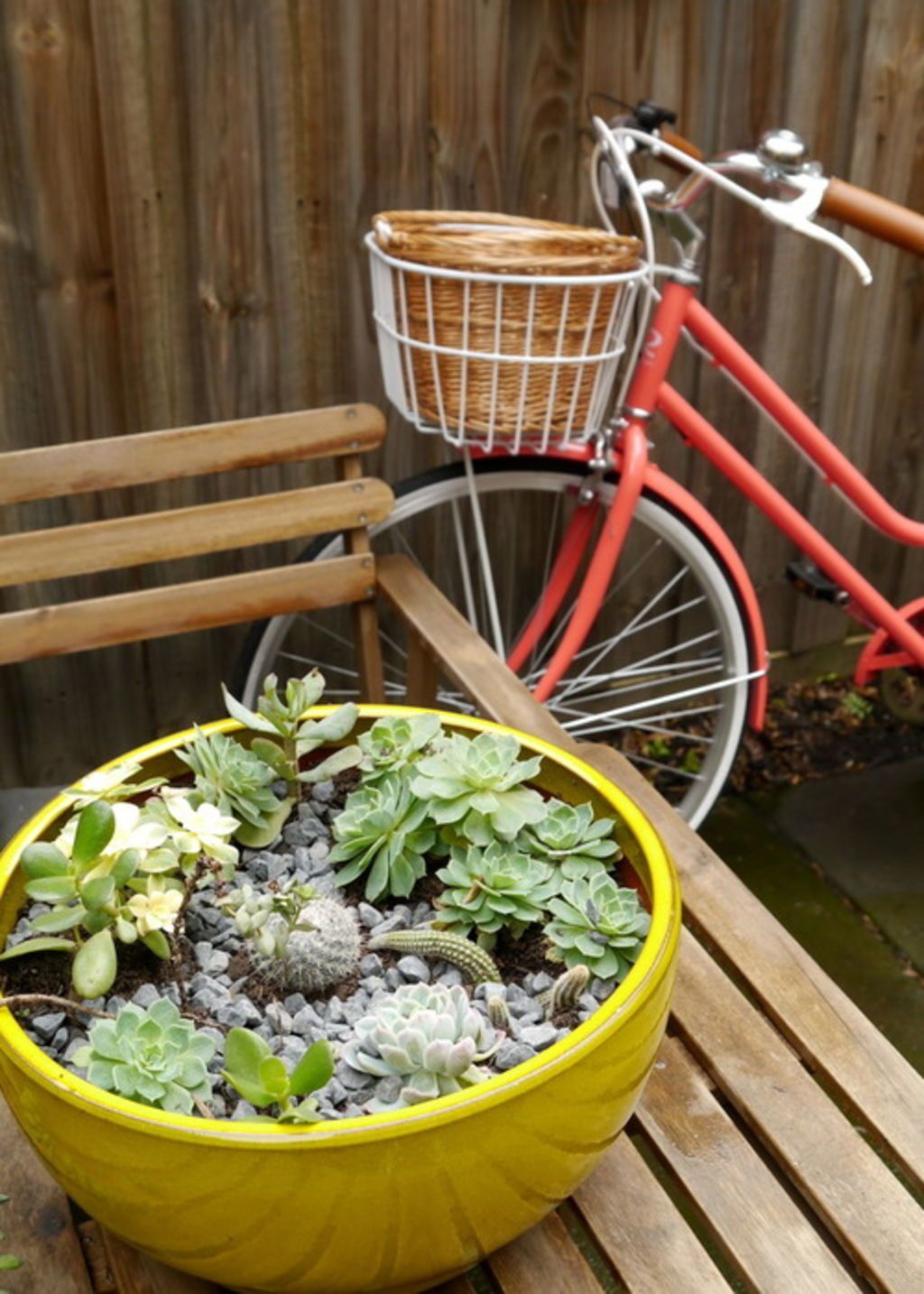 House Plants Thriving This Summer