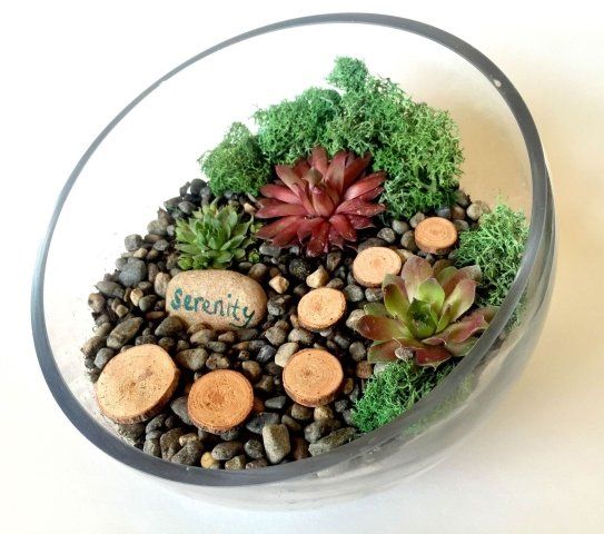 a glass bowl filled with rocks plants and a rock that says serenity