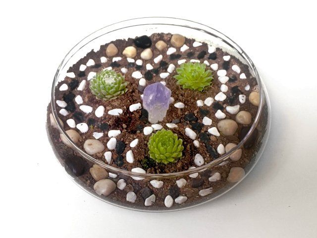 a glass bowl filled with rocks and plants on a table .