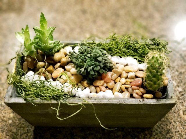 a planter filled with rocks and plants is sitting on a table .