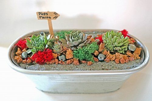 a metal tub filled with succulents and rocks on a table .