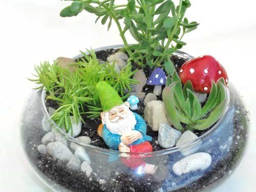 a glass bowl filled with plants and a gnome figurine .