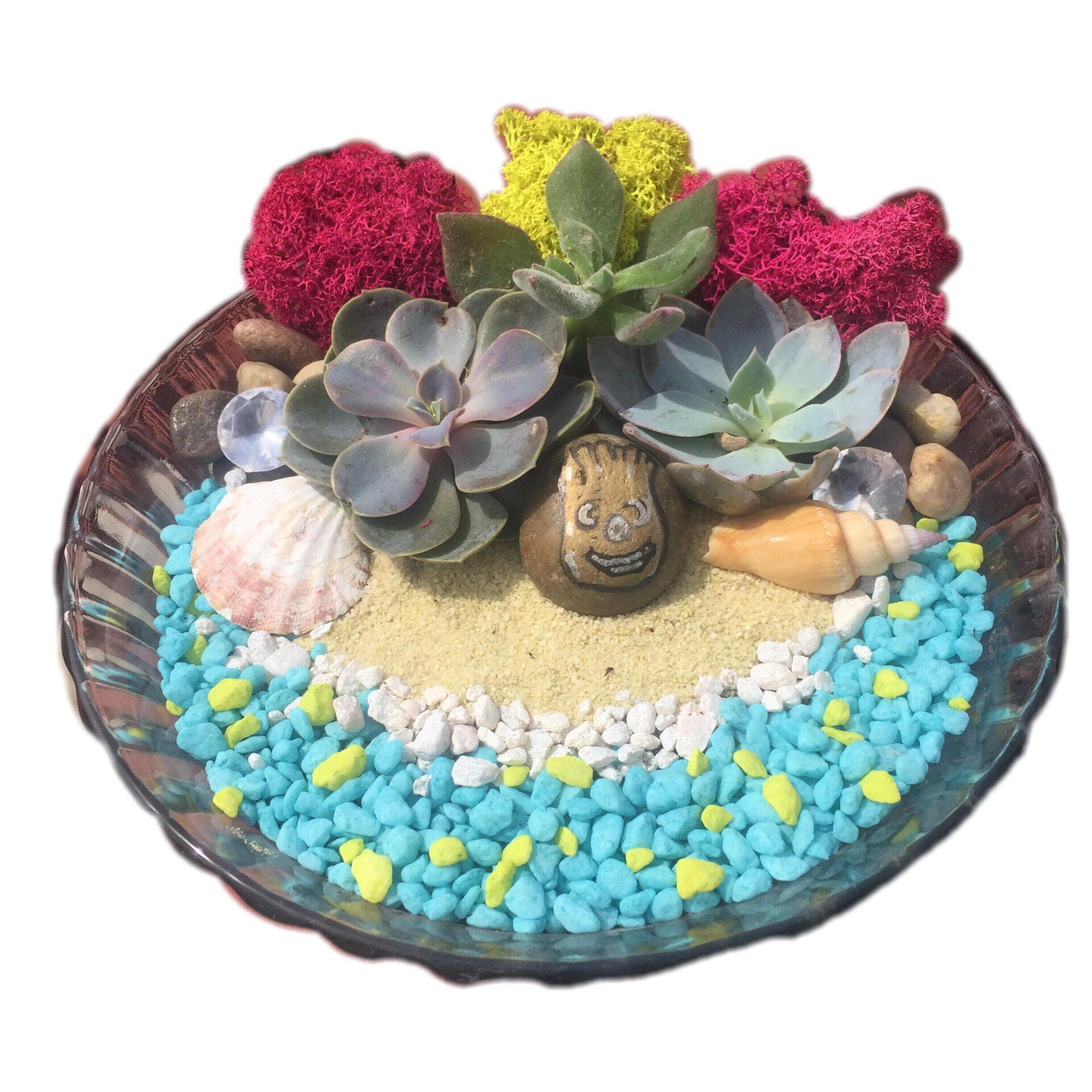 a glass plate filled with succulents and seashells