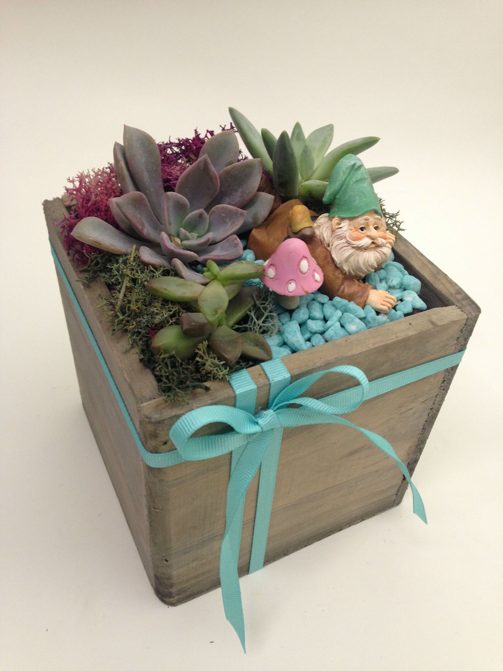 a wooden box filled with succulents and a gnome