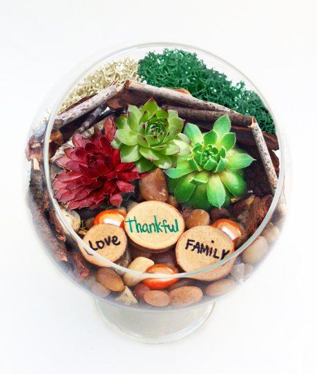 a glass bowl filled with plants and rocks with a thankful sign on it .