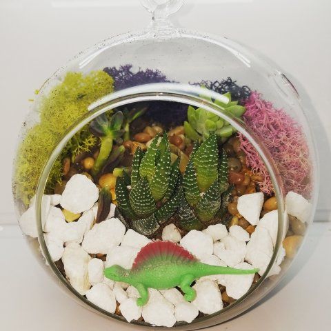 a glass bowl filled with plants and a toy dinosaur