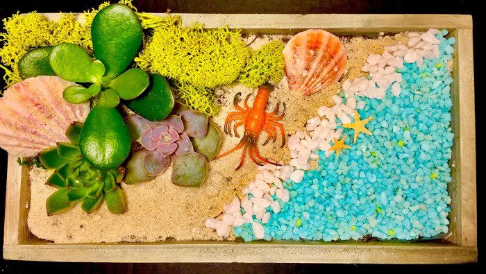 a wooden box filled with plants , seashells , and sand .