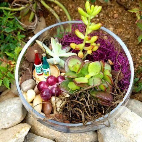 a glass bowl filled with a variety of plants and rocks