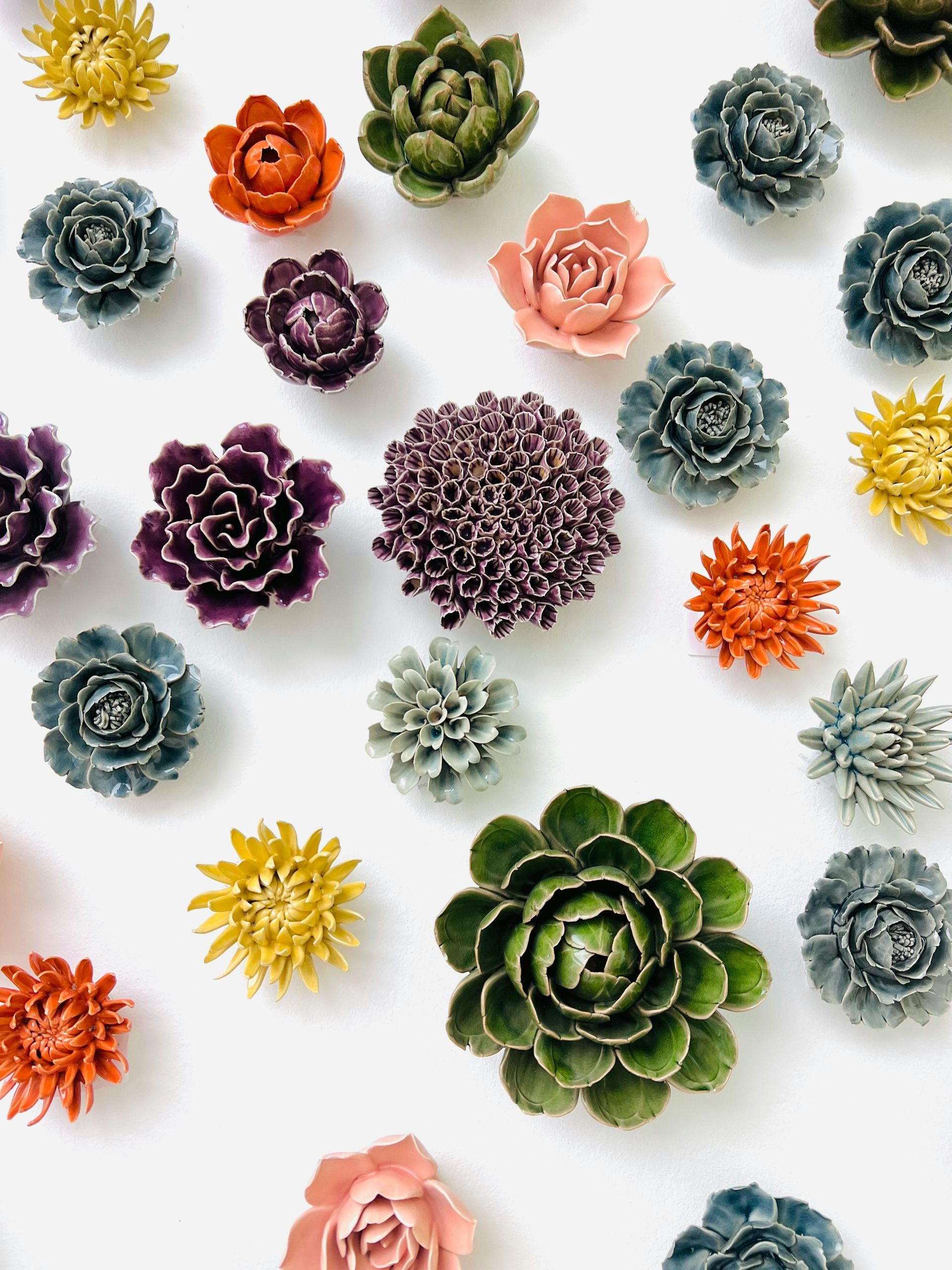 Different types of succulents in various colors and shapes displayed on white background