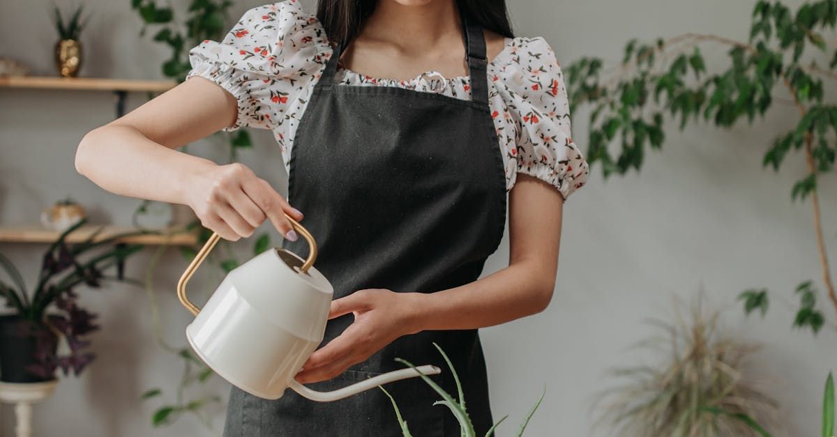 Woman in apron watering a plant with white watering can in a room with plants.
