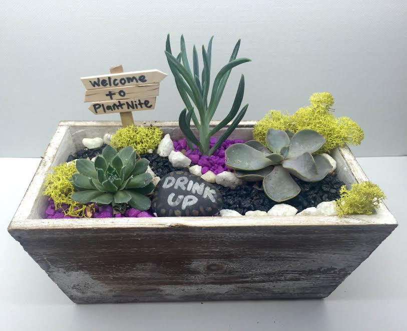 a wooden box filled with succulents and a sign that says drink up