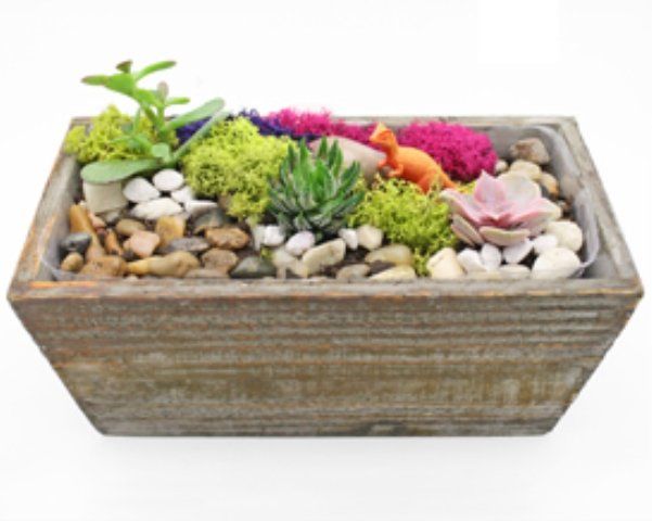 a wooden box filled with plants and rocks on a white background