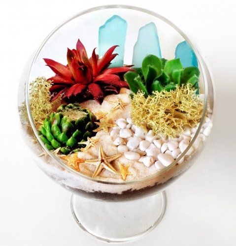 a glass bowl filled with plants and rocks on a table .