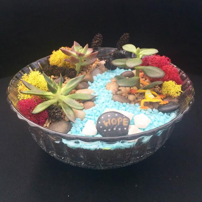a bowl filled with plants and rocks with the word hope on it