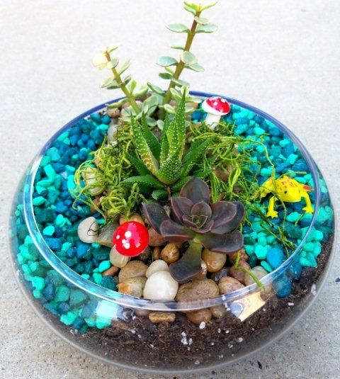 a glass bowl filled with rocks plants and frogs