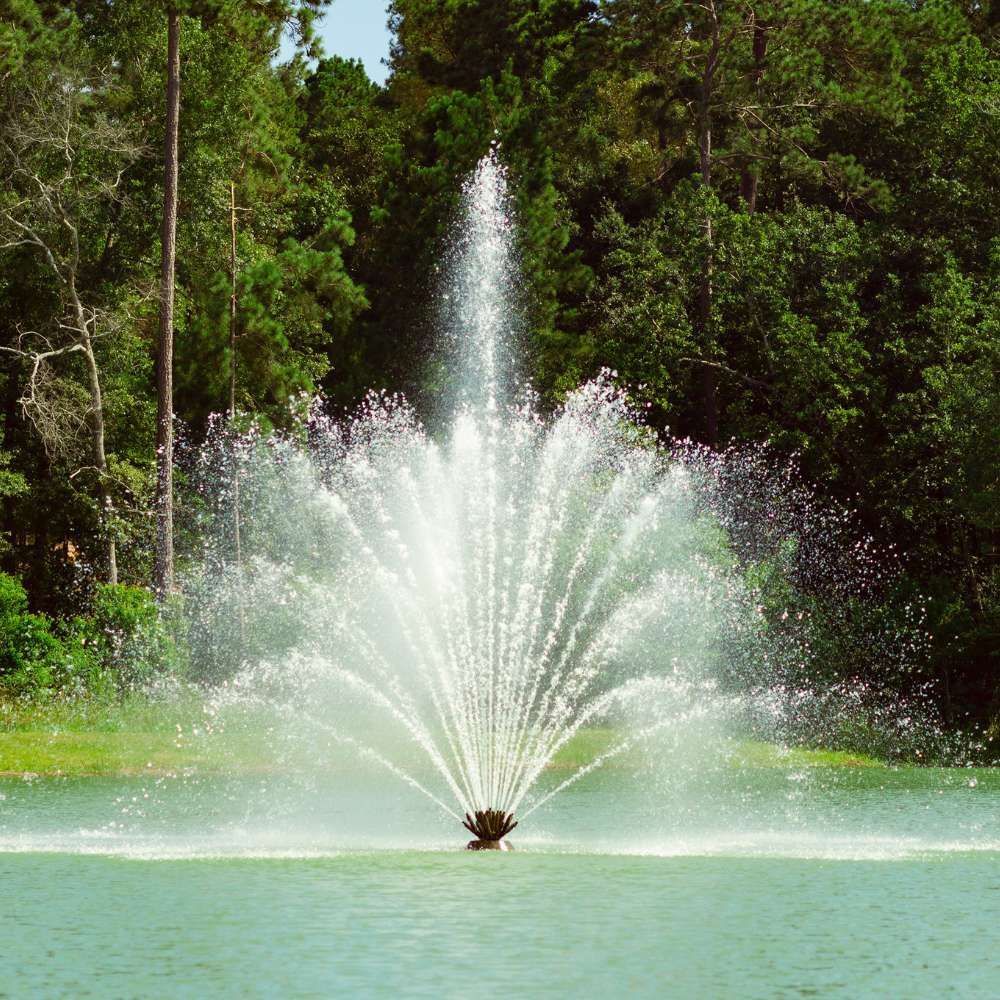 A fountain is spraying water in a pond with trees in the background