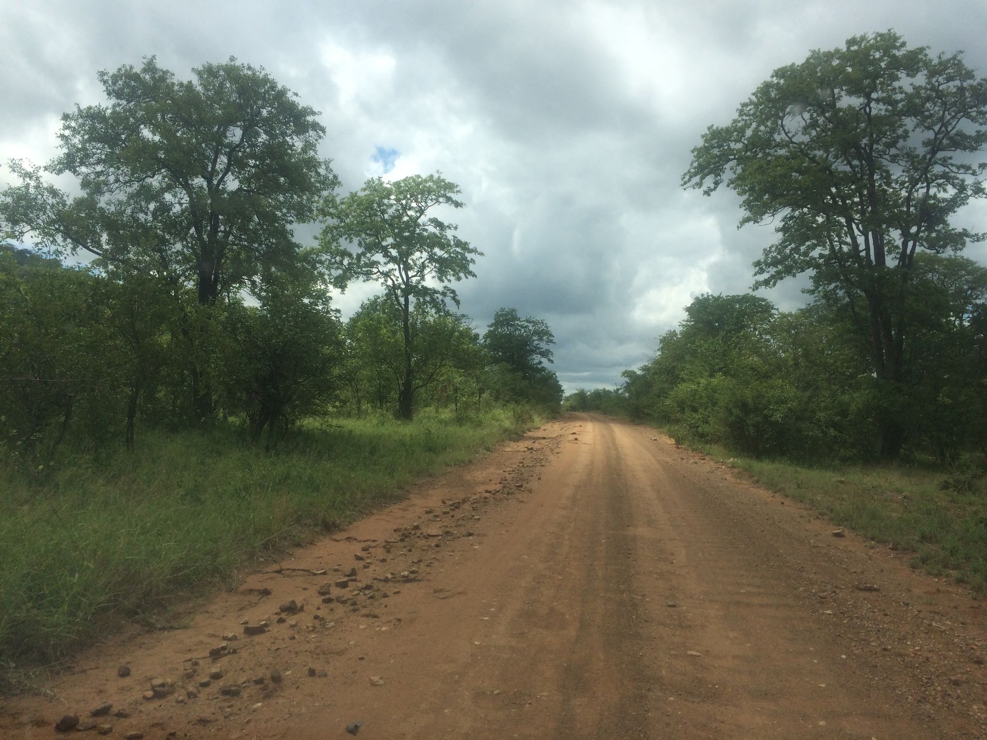 Dirt road on Safari