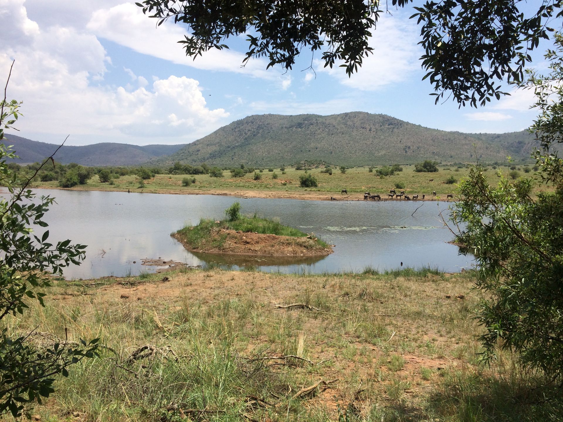 Waterholes in Pilanesberg