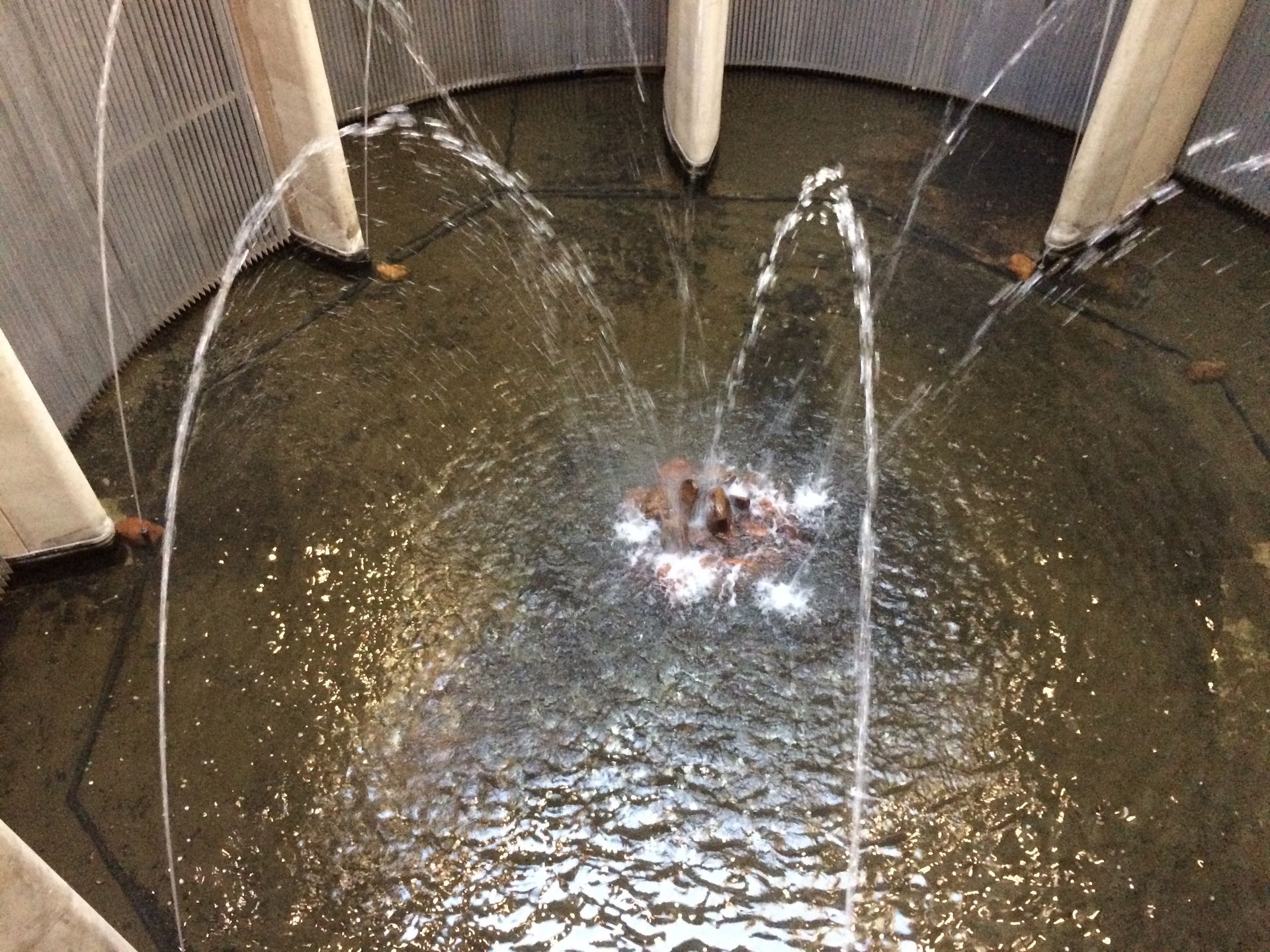 Maropeng visitor centre