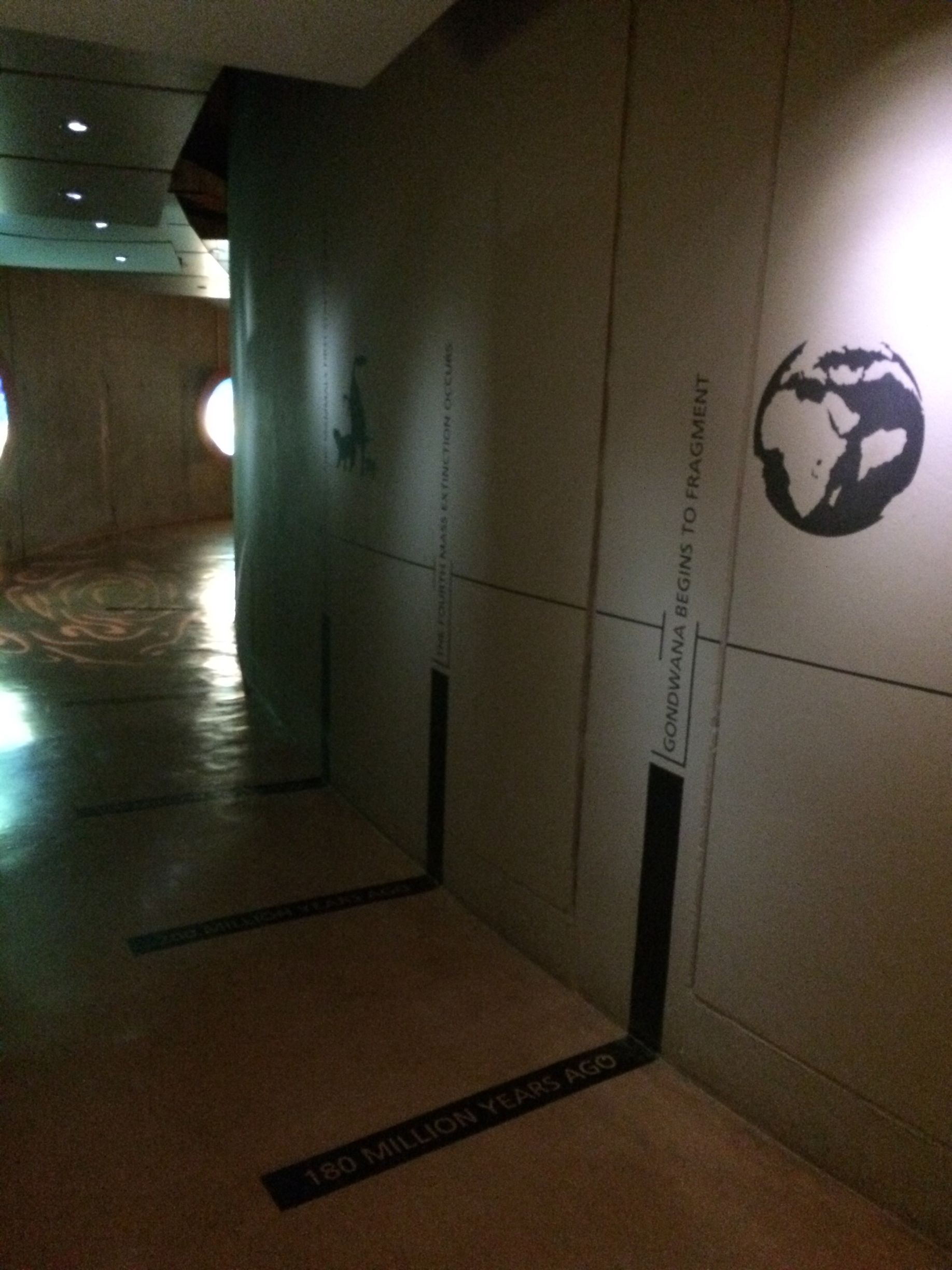 Cradle of Humankind Tour