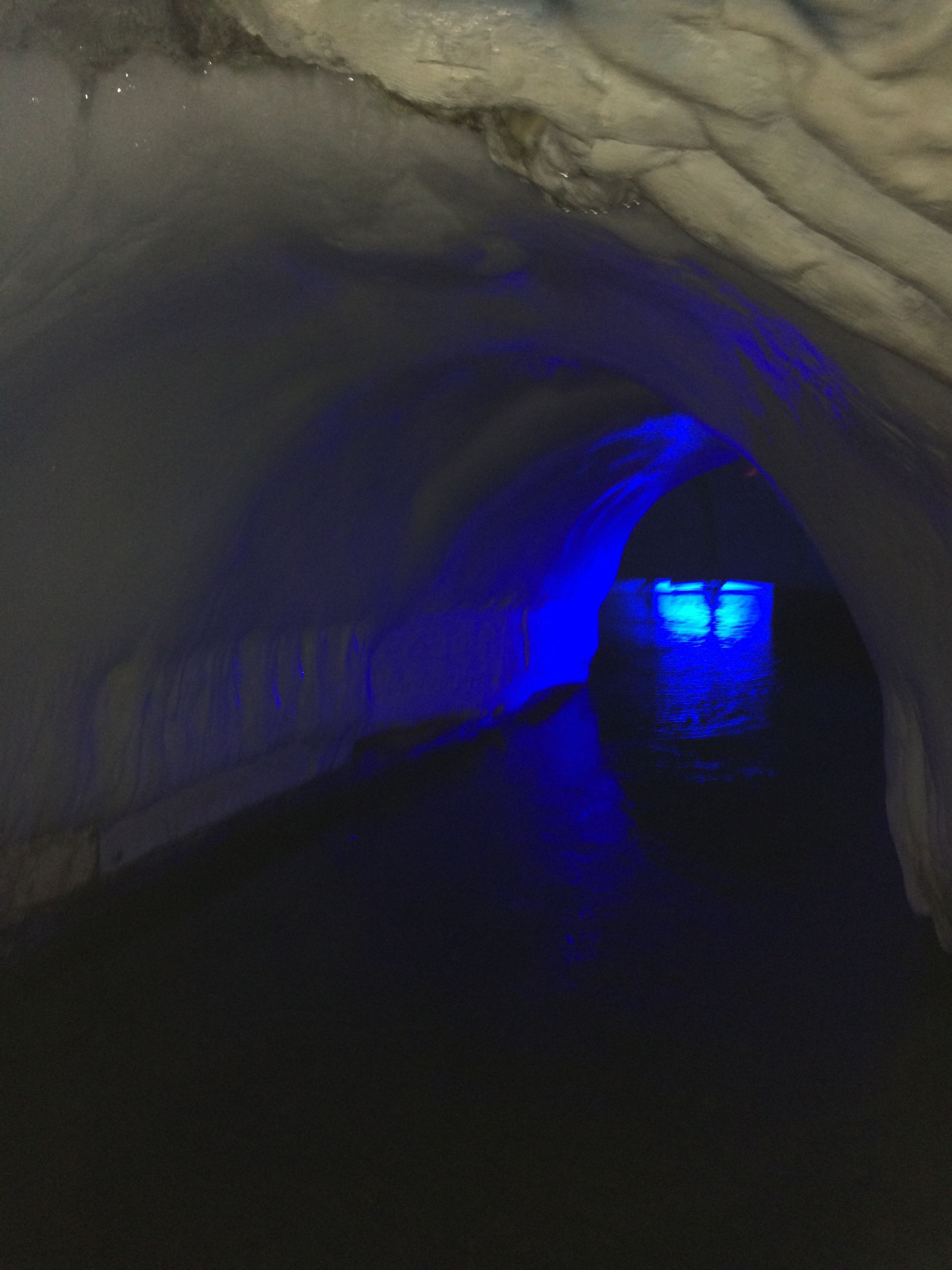 Cradle of Humankind Tour