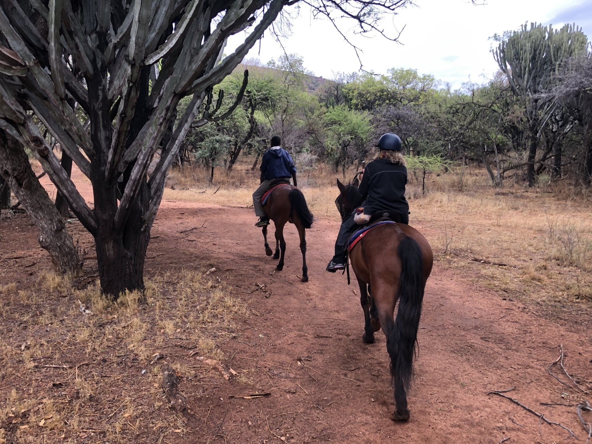 Horseback Safari